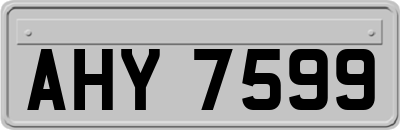AHY7599