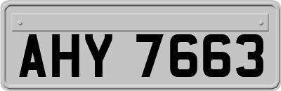 AHY7663