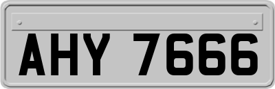 AHY7666