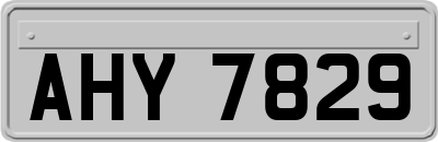AHY7829