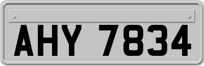 AHY7834