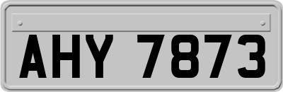 AHY7873