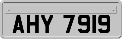 AHY7919