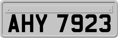 AHY7923