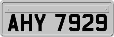 AHY7929
