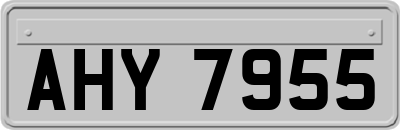 AHY7955