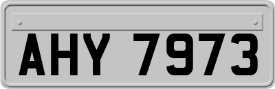 AHY7973