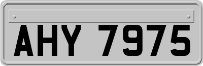 AHY7975