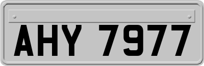 AHY7977