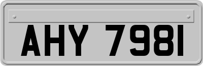 AHY7981