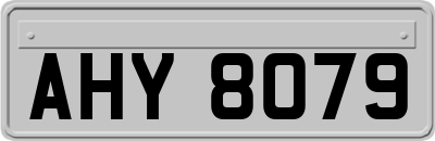 AHY8079