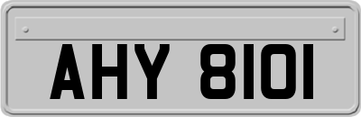 AHY8101