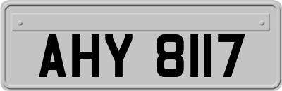 AHY8117