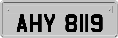 AHY8119