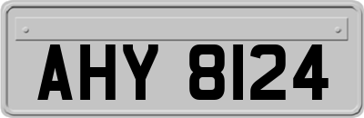 AHY8124