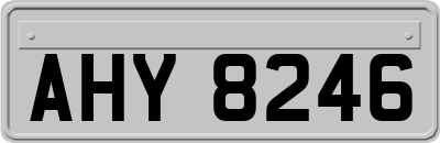 AHY8246