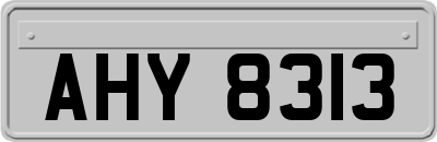 AHY8313