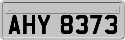 AHY8373