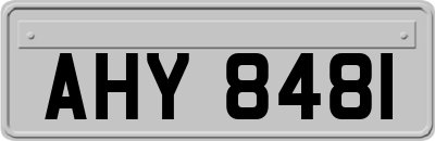 AHY8481