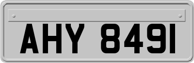 AHY8491
