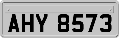 AHY8573