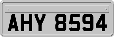 AHY8594