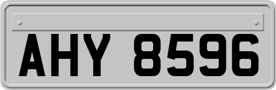 AHY8596