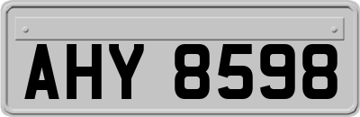AHY8598