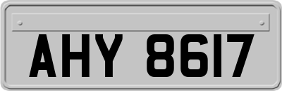 AHY8617