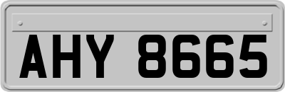 AHY8665