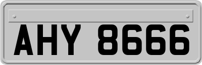 AHY8666