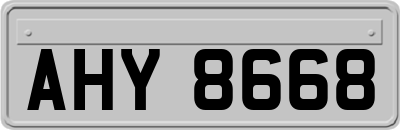 AHY8668