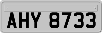 AHY8733