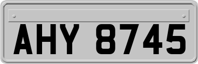 AHY8745