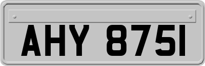 AHY8751
