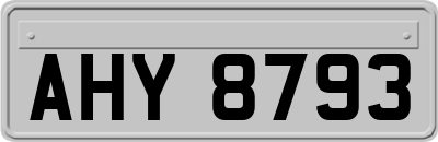 AHY8793