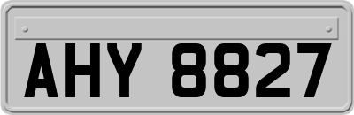 AHY8827