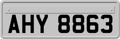 AHY8863