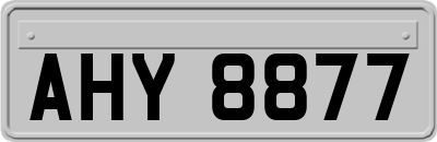 AHY8877