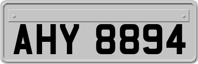 AHY8894