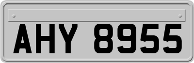 AHY8955