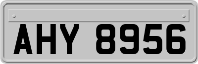 AHY8956