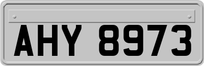 AHY8973