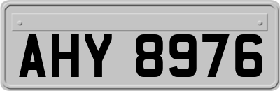 AHY8976