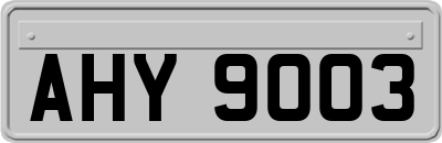 AHY9003