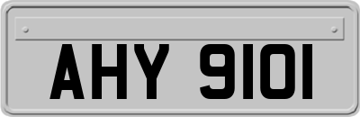AHY9101