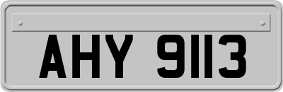 AHY9113