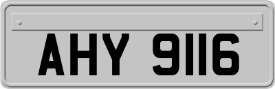AHY9116