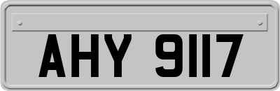 AHY9117