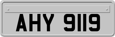 AHY9119